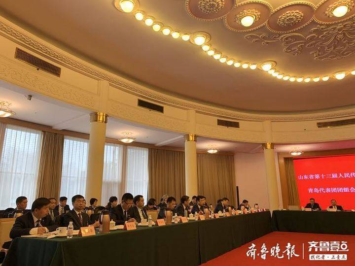 济南青岛烟台代表团团组会议正集中接受采访